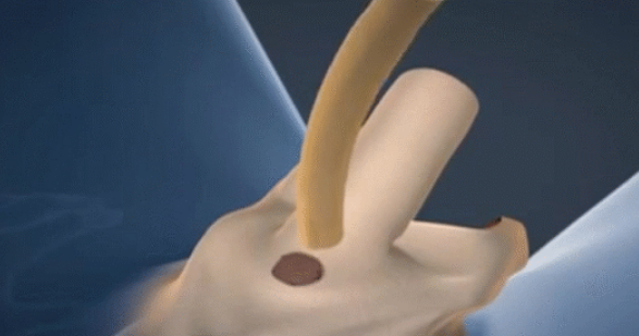 150546320939769.png