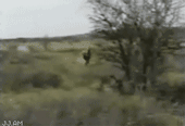 150547071266966.gif