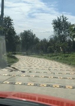 150565166973775.gif