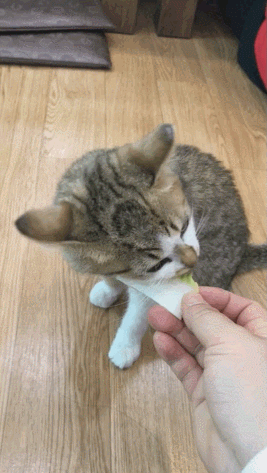 150579631566473.gif
