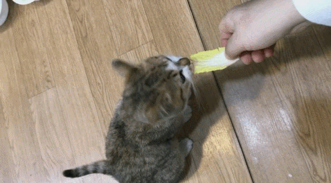 150579633336052.gif