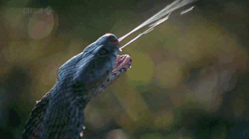 150646975928885.gif