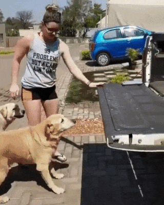 150647214284332.gif