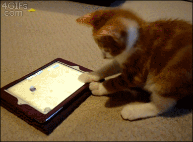 150665302536160.gif