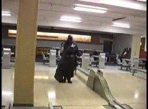 150670271677093.gif