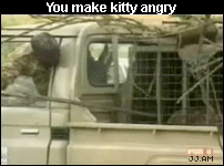 150670296568782.gif