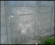 150670314668905.gif