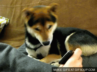 150677554838696.gif