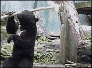 150677706179141.gif
