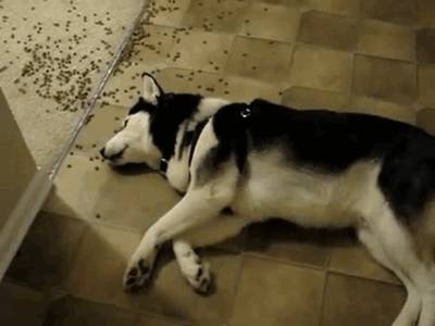 150677775161060.gif
