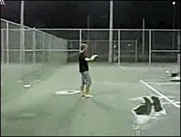 150678677674526.gif