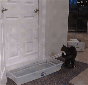 150682644833708.gif