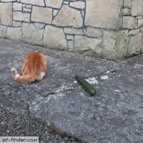 150737749634608.gif