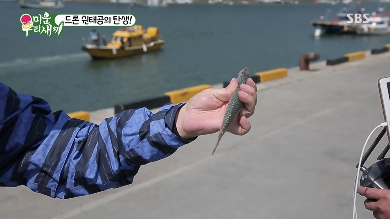 150737873280313.jpg