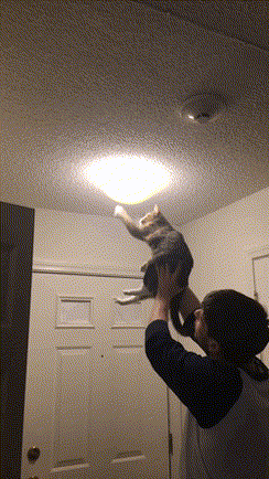 150738075522021.gif