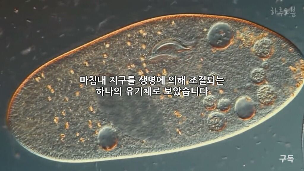 150738403227202.jpg