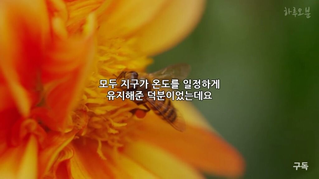 150738403646104.jpg