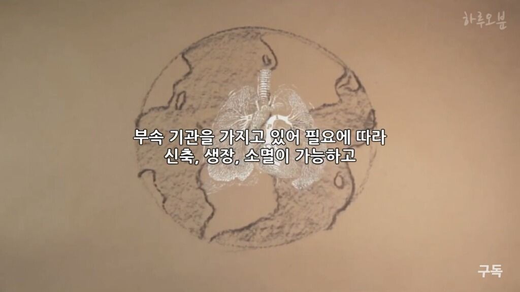 150738404138739.jpg