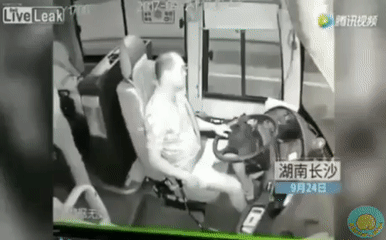 150753824923407.gif