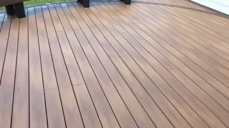 150755679017078.gif