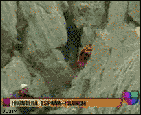 150763325252749.gif