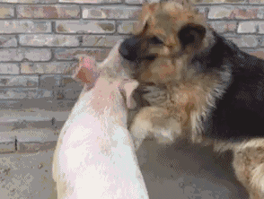 150790771211064.gif