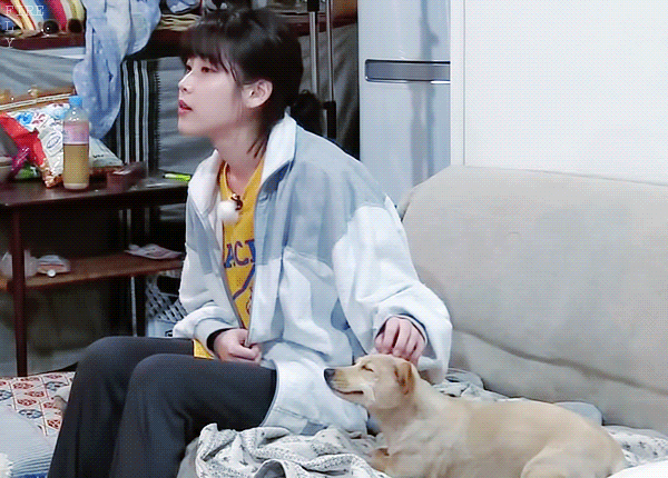 150806055082849.gif