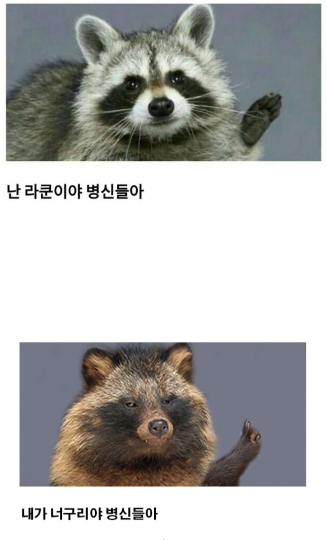 150806452534084.png