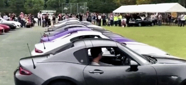 150808390750898.gif