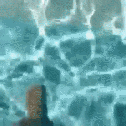 150813898718577.gif