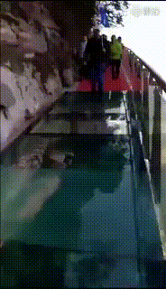 150813899035584.gif