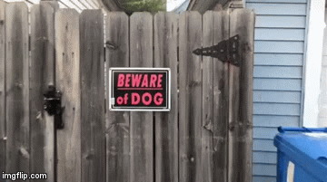 150829943930537.gif