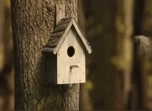 150840641993523.gif