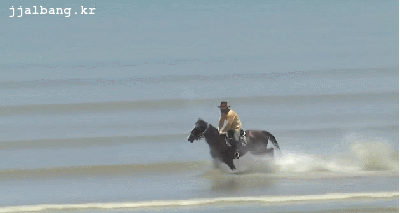 150876605745771.gif