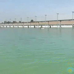 150876971984018.gif