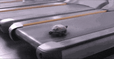 151021705968261.gif