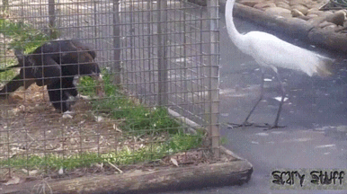 151021744061255.gif