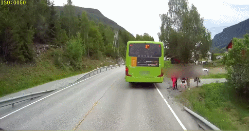 151049396038119.gif