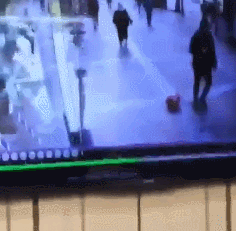 151050096257993.gif