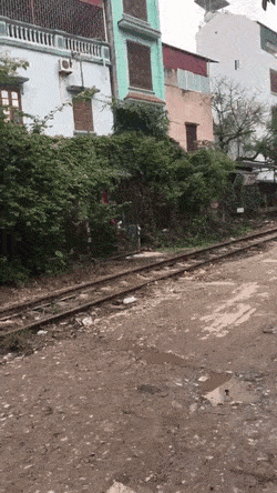 151050155371531.gif