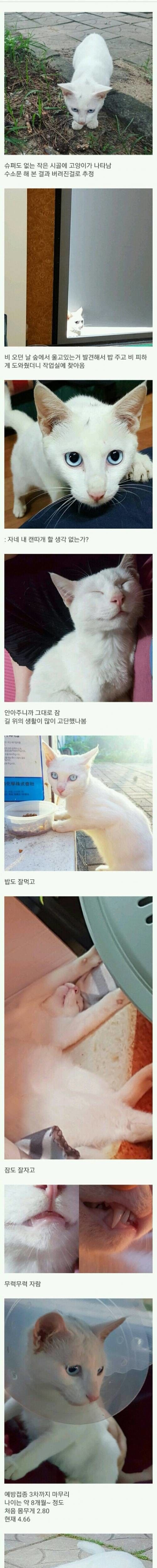 151070888821366.jpg
