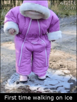 151131318050421.gif