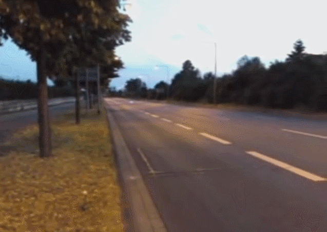 151131373325965.gif
