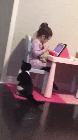 151139636926103.gif