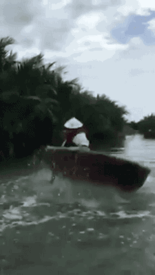 151185895853213.gif