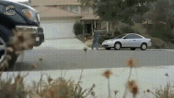 151210916376758.gif