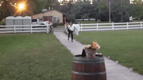 151213629815741.gif