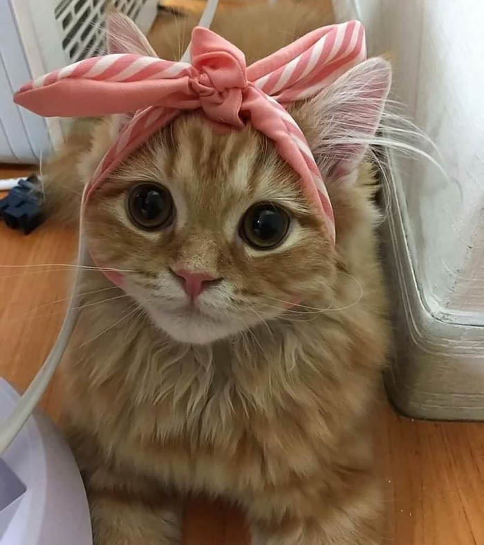 151213789125572.jpg