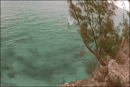 151214440527037.gif