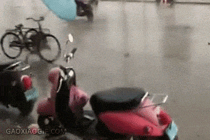 151222288157785.gif